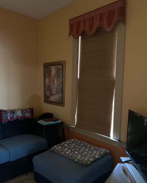 100% Blackout Cordless Bamboo Roman Shades 35x64 in Papara Carbon | Upgrade Backing Fabric, UV Protection, Protecting Privacy, room darkening customer photo 1
