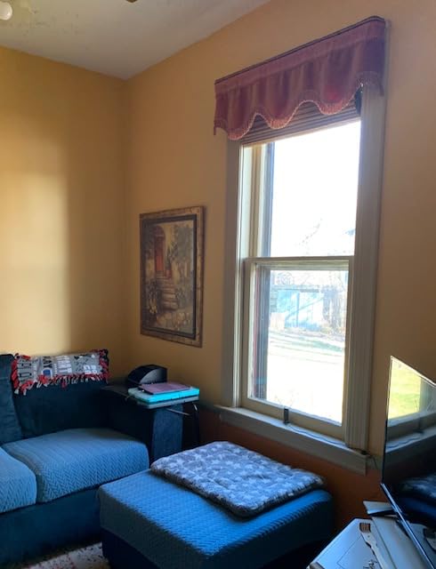 100% Blackout Cordless Bamboo Roman Shades 35x64 in Papara Carbon | Upgrade Backing Fabric, UV Protection, Protecting Privacy, room darkening customer photo 2