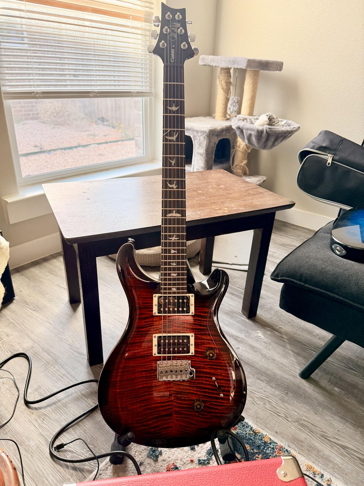 PRS SE Custom 24 Exclusive, Blue Matteo Natural Back customer photo 1