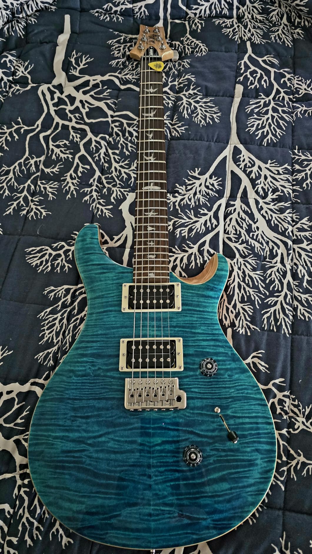 PRS SE Custom 24 Exclusive, Blue Matteo Natural Back customer photo 2