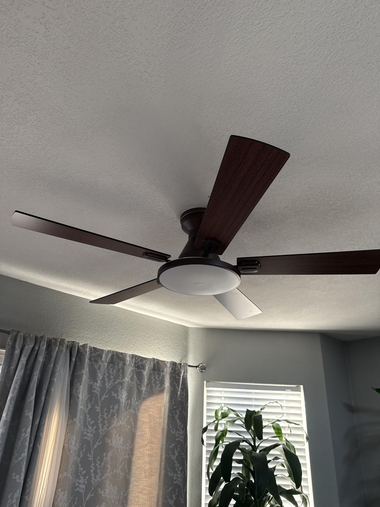 Passky Ceiling Fans with Lights, 52 inch Flush Mount Ceiling fan with Remote Control, Low Profile Ceiling Fan for Bedroom, Farmhouse, Reversible, 3CCT, Dimmable, Noiseless DC Motor, Black customer photo 2