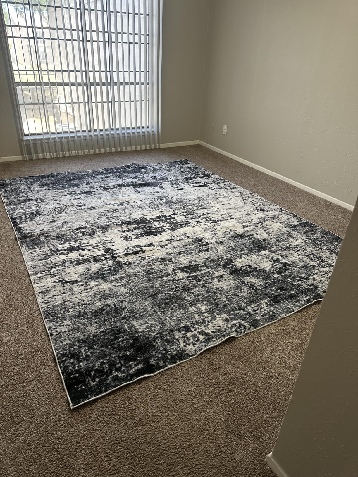 6x9 Area Rug Living Room Rug: Washable Modern Abstract Soft Thin Rug Indoor Floor No Slip Stain Resistant Carpet for Bedroom Dining Room Farmhouse Nursery Home Office - Black customer photo 1