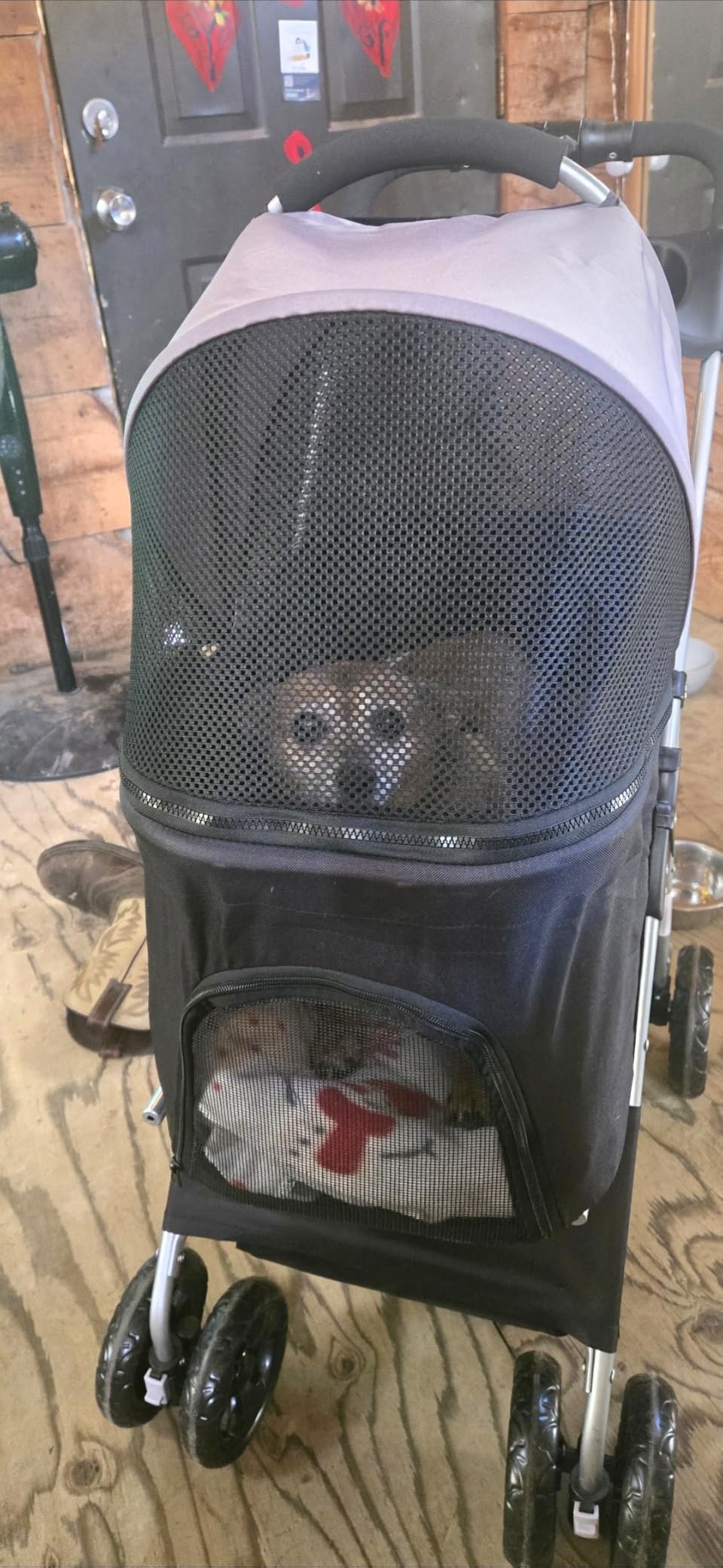 VEVOR Pet Stroller, 44 lbs Weight Capacity, Foldable Dog Cart, 4 Wheels Cats Stroller with Mesh Windows & Reversible Handle, Portable Pet Carrier with Brake, for Small to Medium Pets customer photo 1