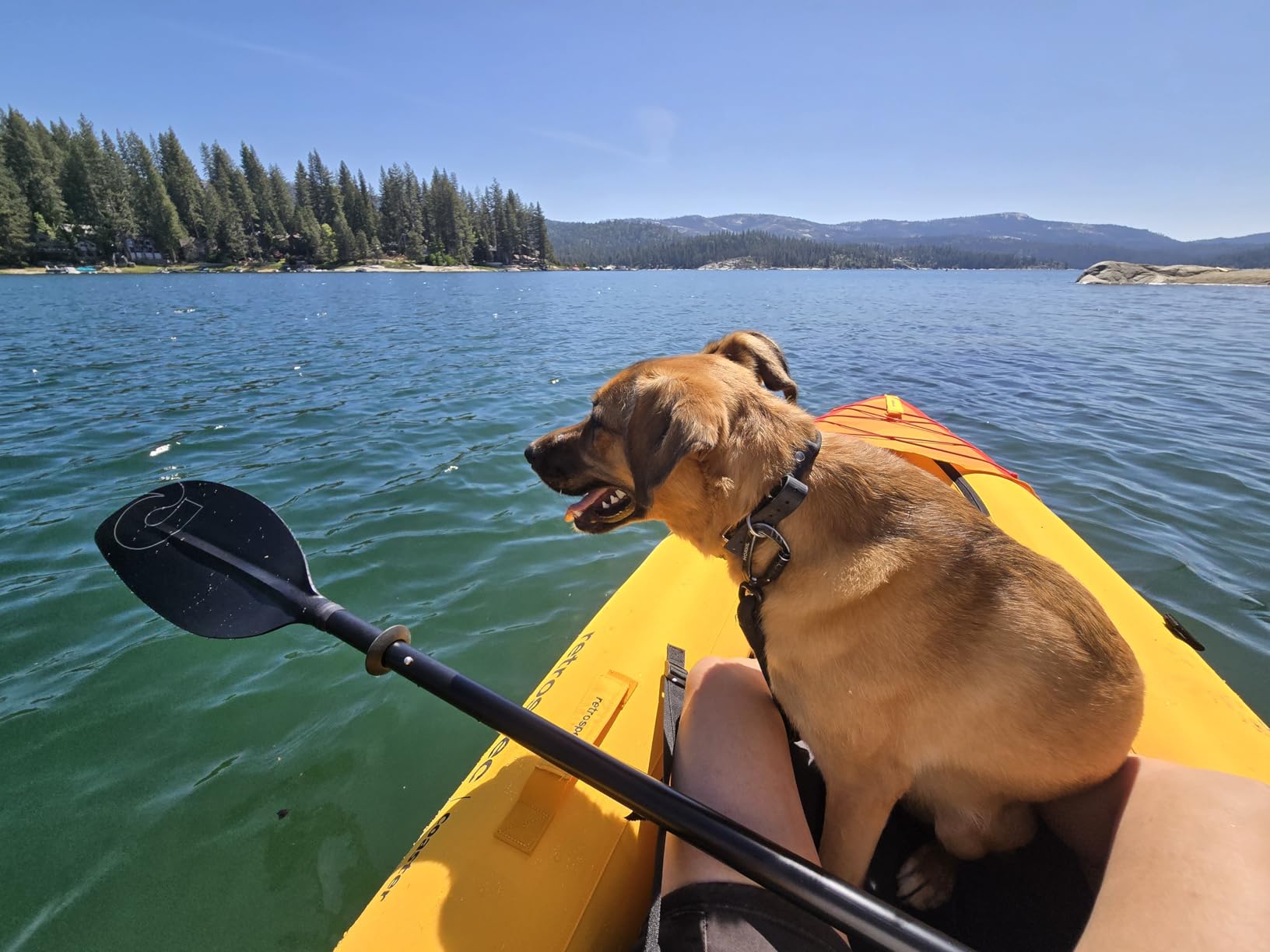 Retrospec Coaster Single & Tandem Inflatable Kayak for Adults - Blow Up Kayak, 220 & 440lb Capacity, Portable Lightweight Kayak with Paddle, Pump & Carry Bag customer photo 2