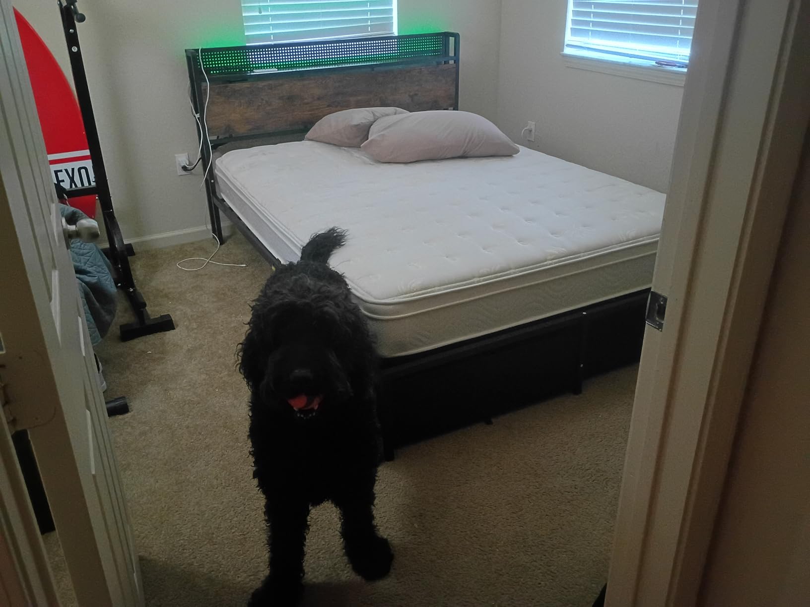 Furnulem Queen Size Bed Frame with Headboard Storage, Charging Station, Drawers | 1200 lbs Capacity, LED lights, Platform Bed Frame Queen Size, No Box Spring Needed, Noise Free, Easy Assembly customer photo 2