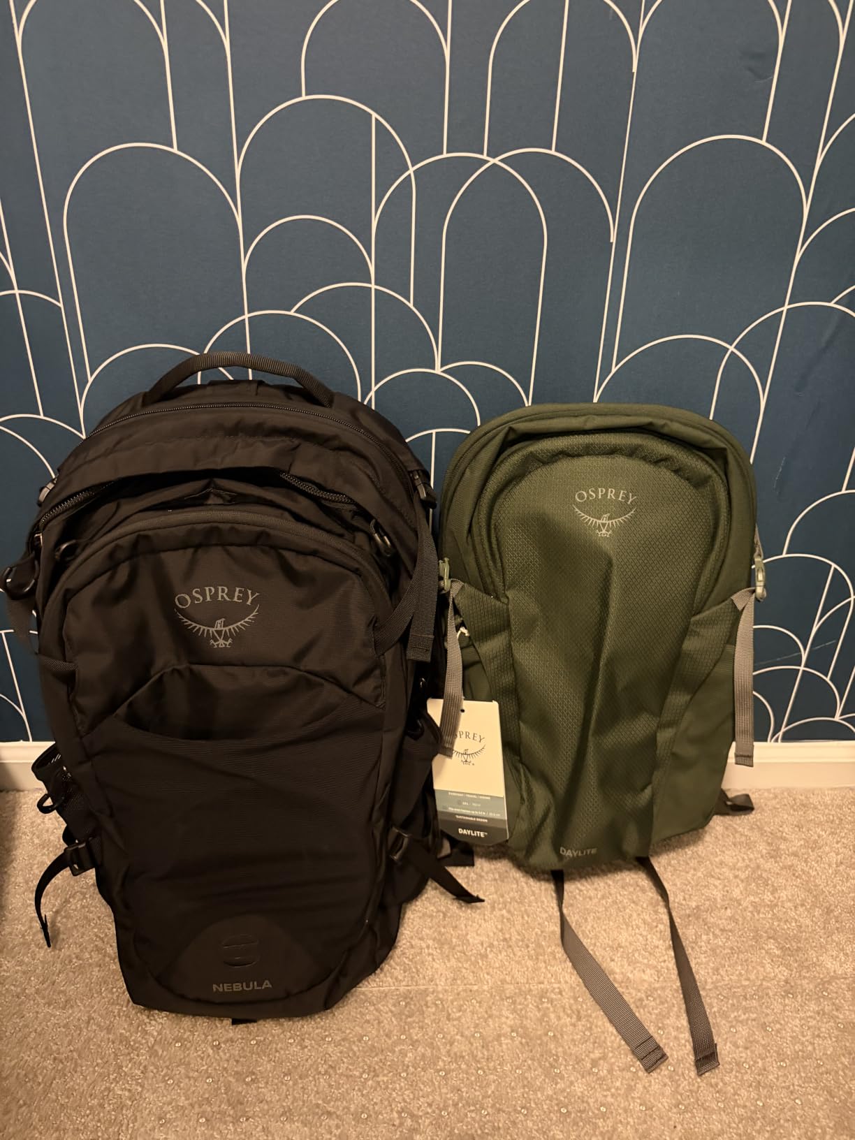 Osprey Daylite Commuter Backpack - Lightweight Everyday Bag with Laptop Sleeve, Bottle Pockets, Torrent Blue customer photo 1
