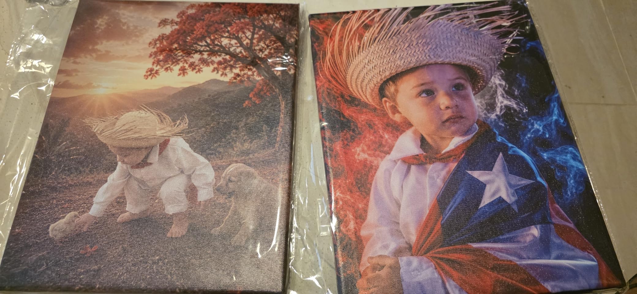 Custom Canvas Prints with Your Photos Personalized Canvas Wall Art (Framed 11x14inch) Personalized Pictures for Pet/Family Gifts for Mom/Men/Women customer photo 2