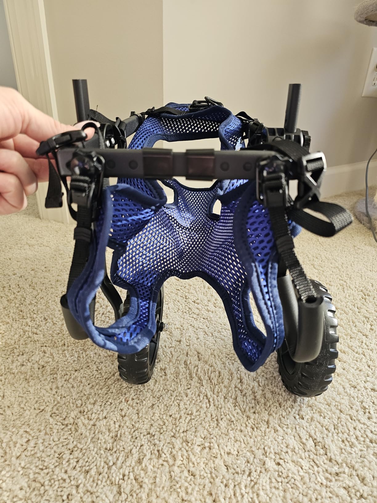 Dog Wheelchair for Back Legs, Dog Wheelchair Cart, Doggy/Cat Wheelchairs with Disabled Hind Legs Walking, Mobility Aids for Small Medium Pet Hind Limbs, Dogs Cart with Wheels, Light Weight customer photo 1