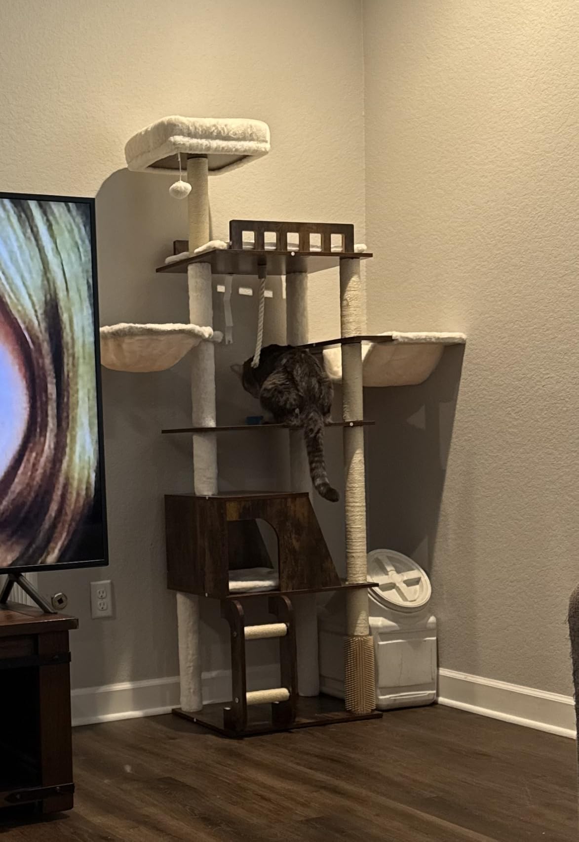 Hey-brother Wooden Cat Tree, 69.7 inch Cats Furniture Tower with Large Platforms, Hammocks, Spacious Condo, Full Sisal Scratching Posts, Ladder, Brush, Water Proof Surface, Rustic Brown MPJ121SR customer photo 1