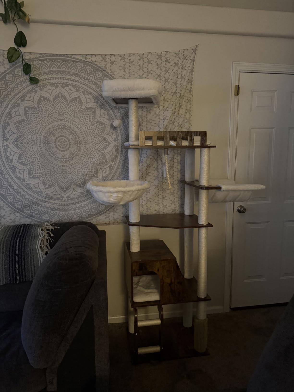 Hey-brother Wooden Cat Tree, 69.7 inch Cats Furniture Tower with Large Platforms, Hammocks, Spacious Condo, Full Sisal Scratching Posts, Ladder, Brush, Water Proof Surface, Rustic Brown MPJ121SR customer photo 2