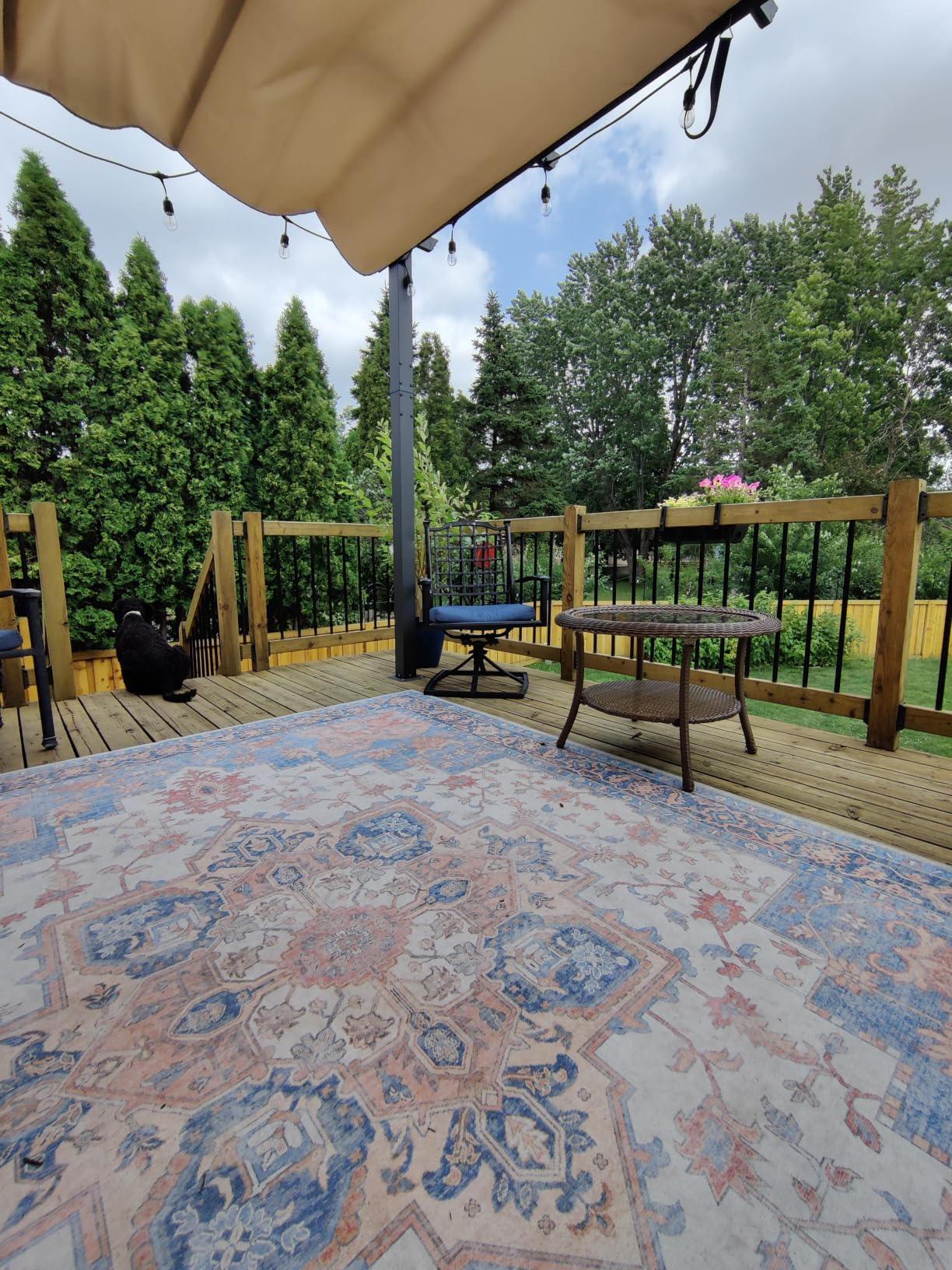 GENIMO Outdoor & Indoor Area Rug 5'x8', Waterproof, Non-Shedding, Easy Cleaning, Boho Mat for Patio, Living Room, Balcony, Dining Room, RV, Deck, Bedroom, Camping, Outside Carpet,Blue customer photo 1