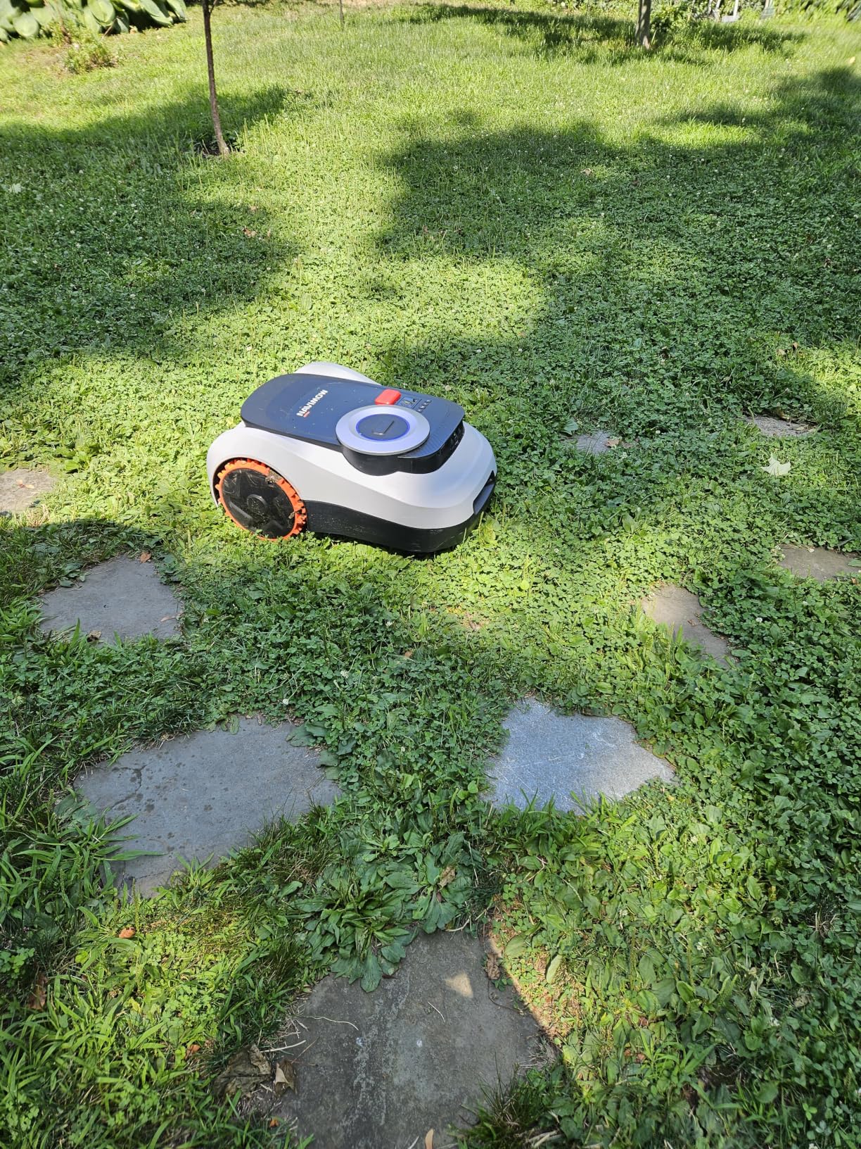 Segway Navimow i215 LiDAR Robot Lawn Mower, Wire Free Robotic Lawn Mower for 0.37 Acre, LiDAR & Vision Dual Fusion, Auto Mapping, Off-Road Wheels for 45% Slopes, Quiet 59 dB(A) Mowing customer photo 1