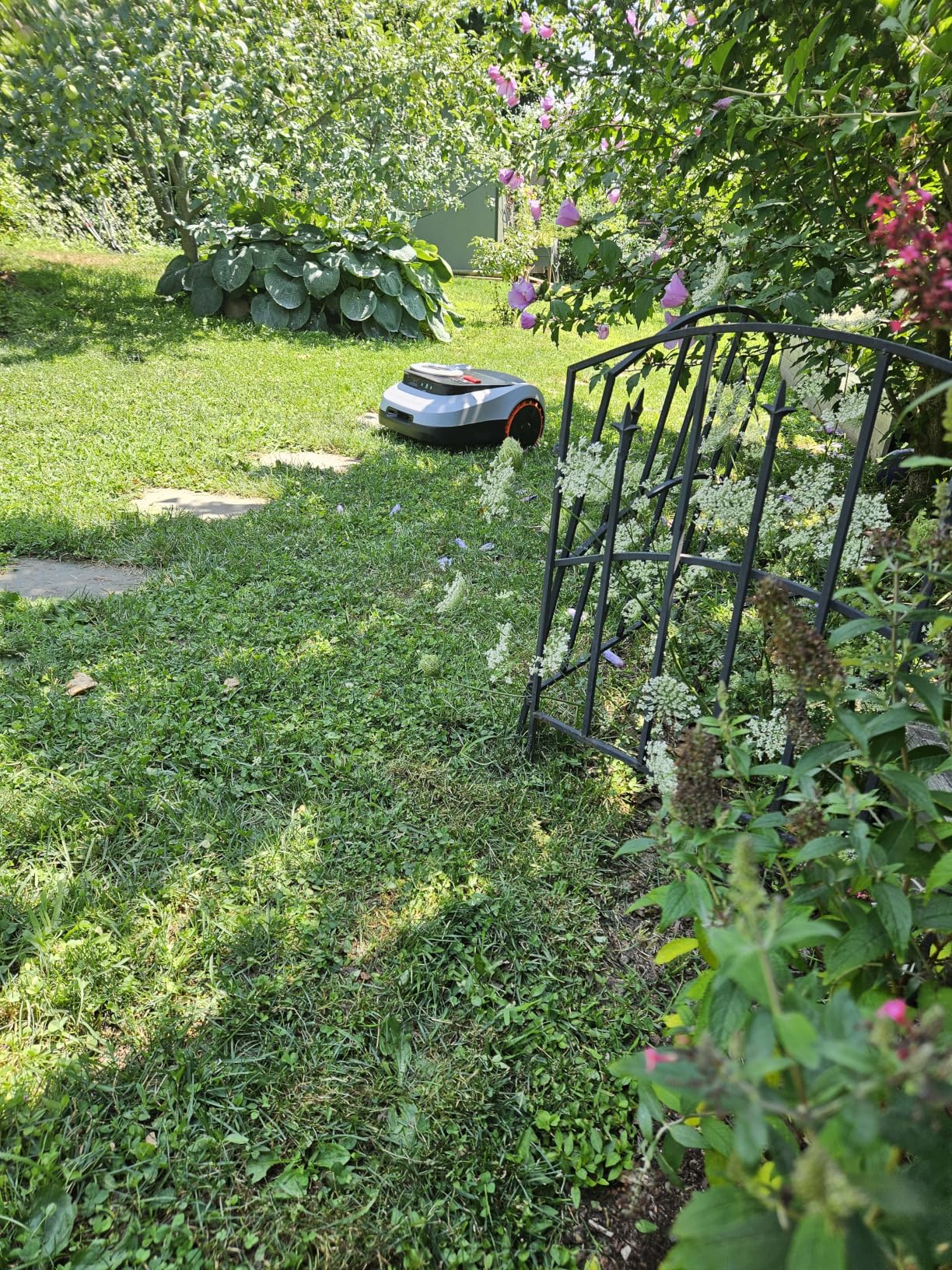 Segway Navimow i215 LiDAR Robot Lawn Mower, Wire Free Robotic Lawn Mower for 0.37 Acre, LiDAR & Vision Dual Fusion, Auto Mapping, Off-Road Wheels for 45% Slopes, Quiet 59 dB(A) Mowing customer photo 2