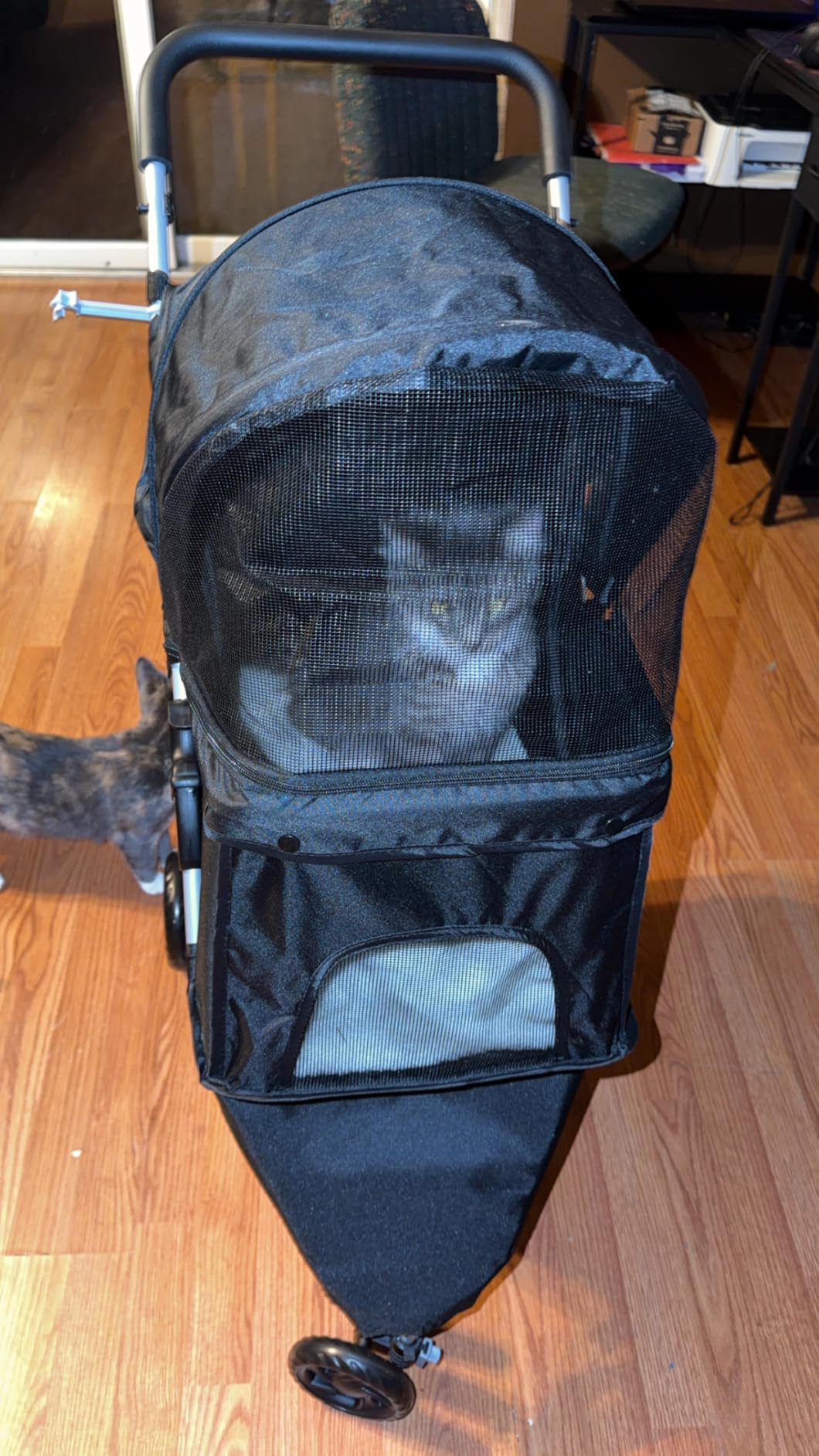 Foldable 3 Wheel Pet Stroller for Dogs and Cats, Grey | Lightweight and Durable, Ideal for Small to Medium Pets, Includes Storage Basket and Cup Holders customer photo 1