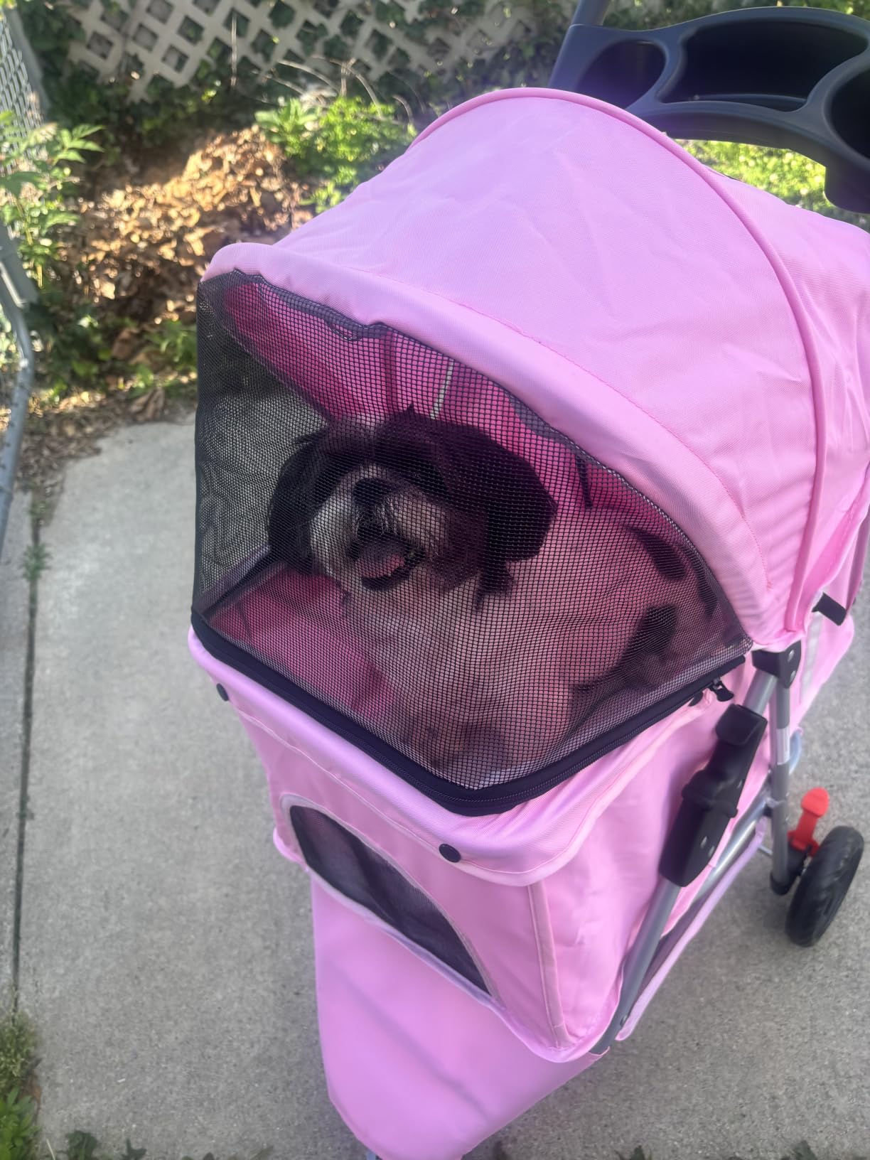 Foldable 3 Wheel Pet Stroller for Dogs and Cats, Grey | Lightweight and Durable, Ideal for Small to Medium Pets, Includes Storage Basket and Cup Holders customer photo 2