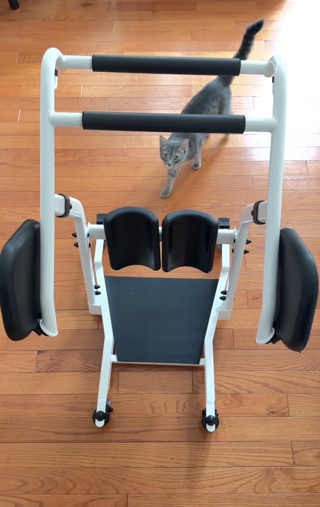 VOCIC Sit to Stand Lift, One-Step Stand Assist Lift for Elderly, Patient Lift Chair Transport Unit with Wheels, Fall Prevention & Muscle Building, AY03 2026 Upgraded customer photo 2