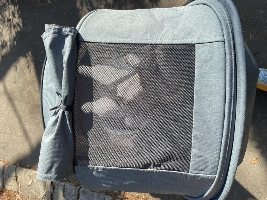 UPPAbaby Minu V3 Travel Stroller - Lightweight & Compact - James customer photo 2