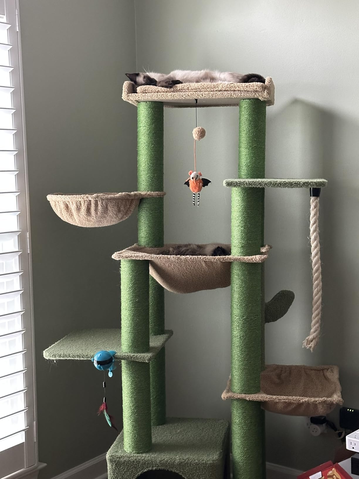 XXL Heavy Duty Cat Tree, 84