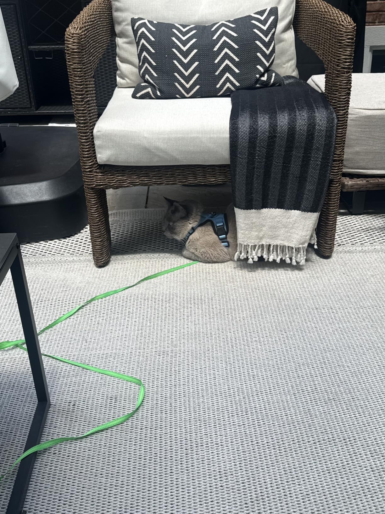 Easy Jute Rug 5x7, Indoor Outdoor Natural Color Fiber Area Rugs for Living Room Patio and Kitchen Rug, Sisal Boho Woven Design, Easy-Cleaning, Washable Outside Carpet Alfombras para(5 x 7) customer photo 1