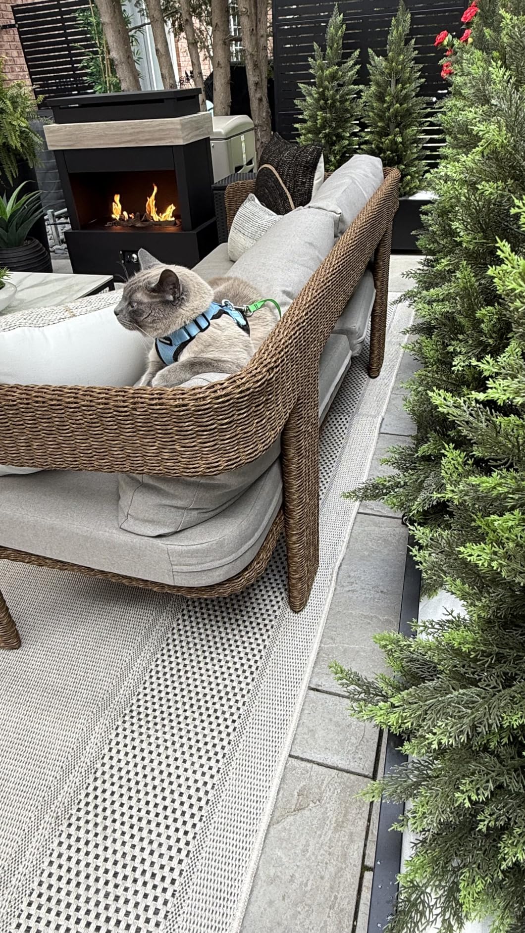 Easy Jute Rug 5x7, Indoor Outdoor Natural Color Fiber Area Rugs for Living Room Patio and Kitchen Rug, Sisal Boho Woven Design, Easy-Cleaning, Washable Outside Carpet Alfombras para(5 x 7) customer photo 2
