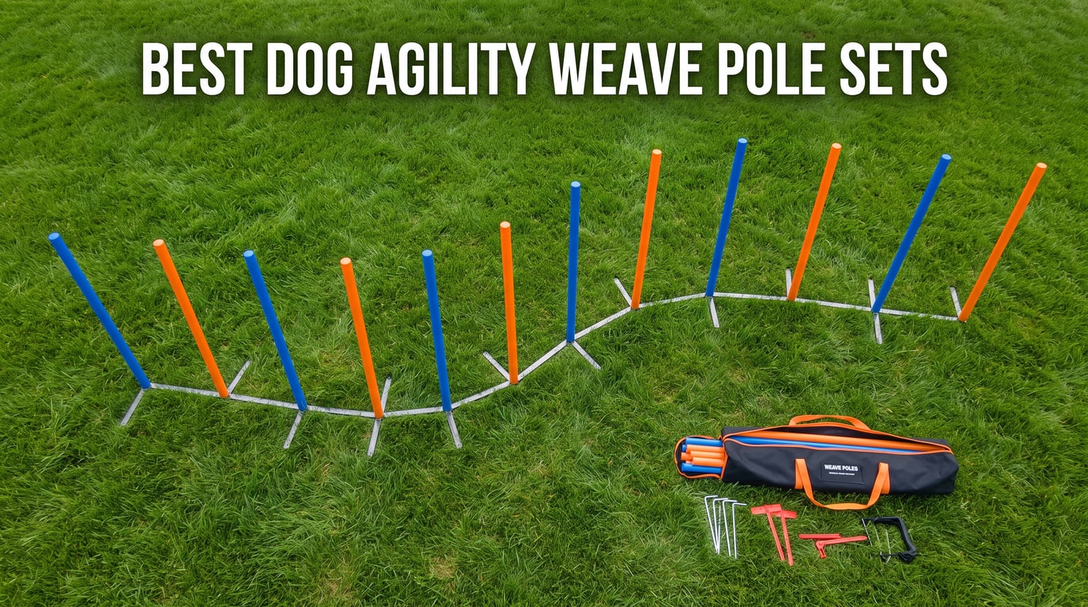 best dog agility weave pole sets with bases