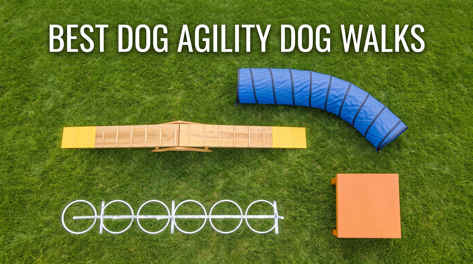 best dog agility dog walks