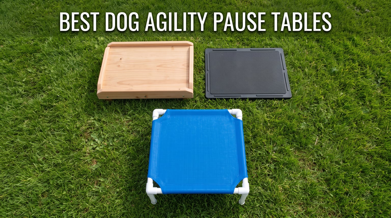 best dog agility pause tables
