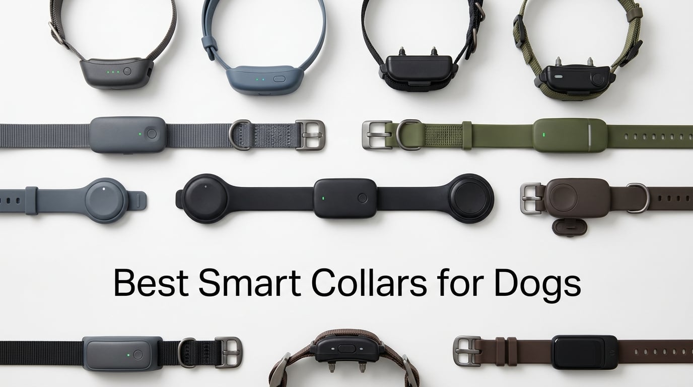 best smart collars for dogs