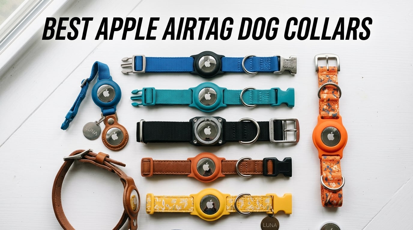 best apple airtag dog collars