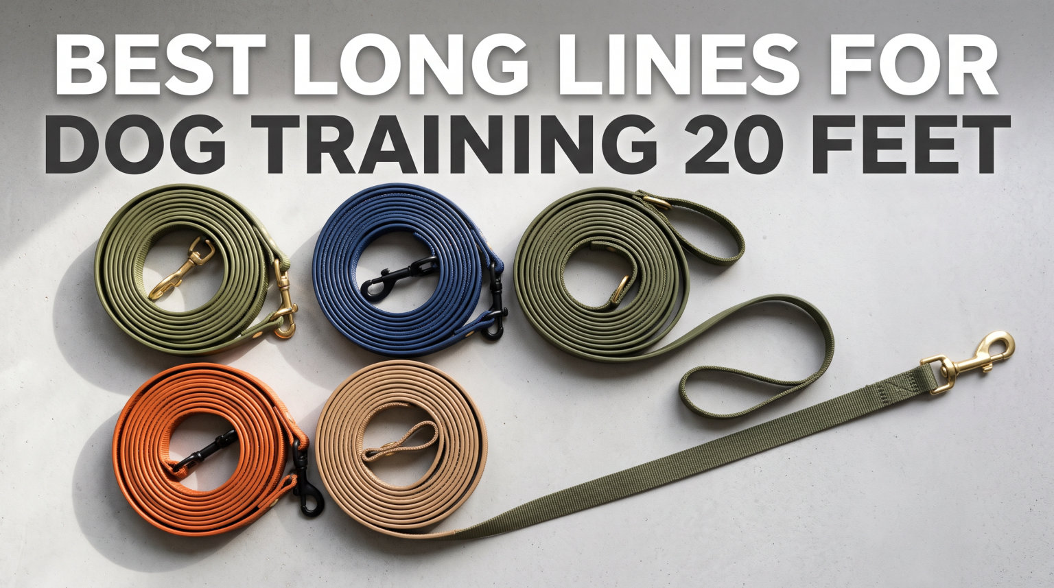 best long lines for dog training 20 feet