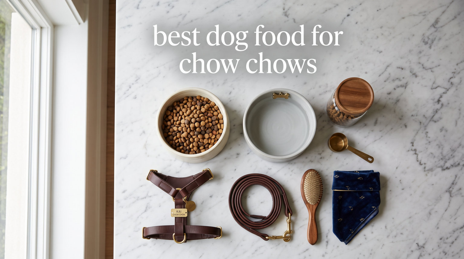 best dog food for chow chows