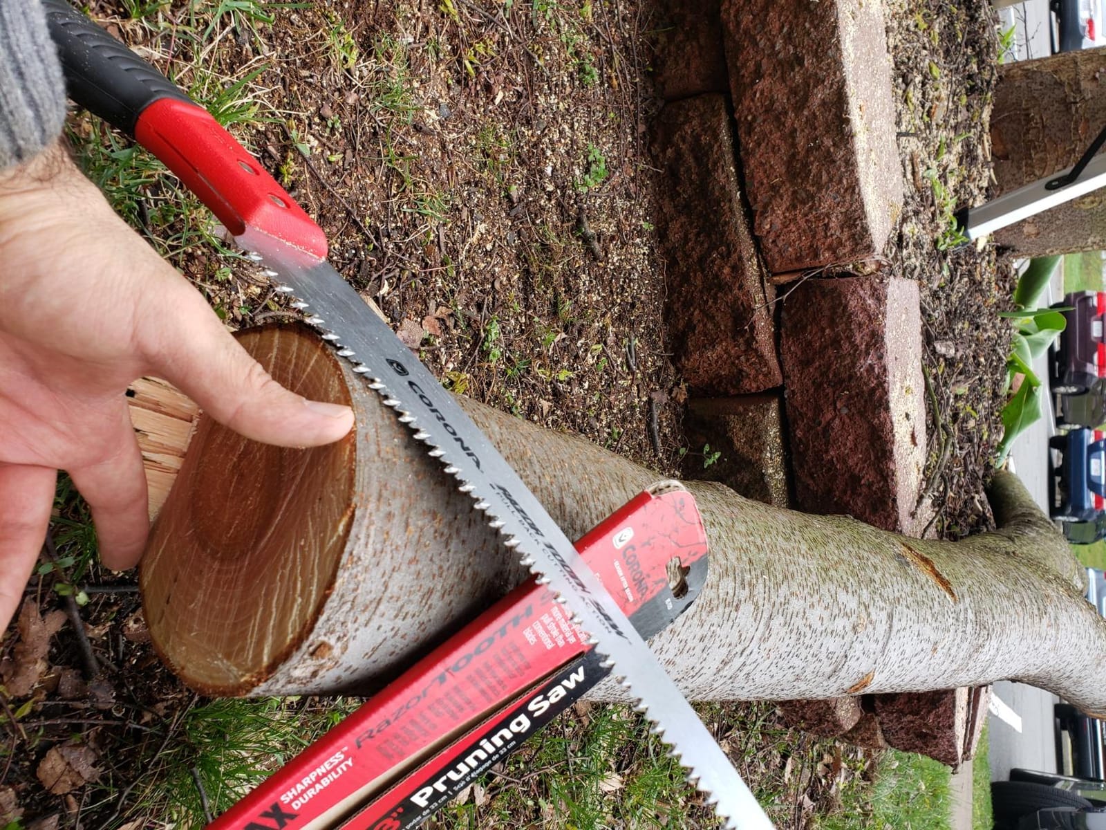 Corona Tools 13-Inch RazorTOOTH Pruning Saw | Tree Saw Designed for Single-Hand Use | Curved Blade Hand Saw | Cuts Branches up to 7