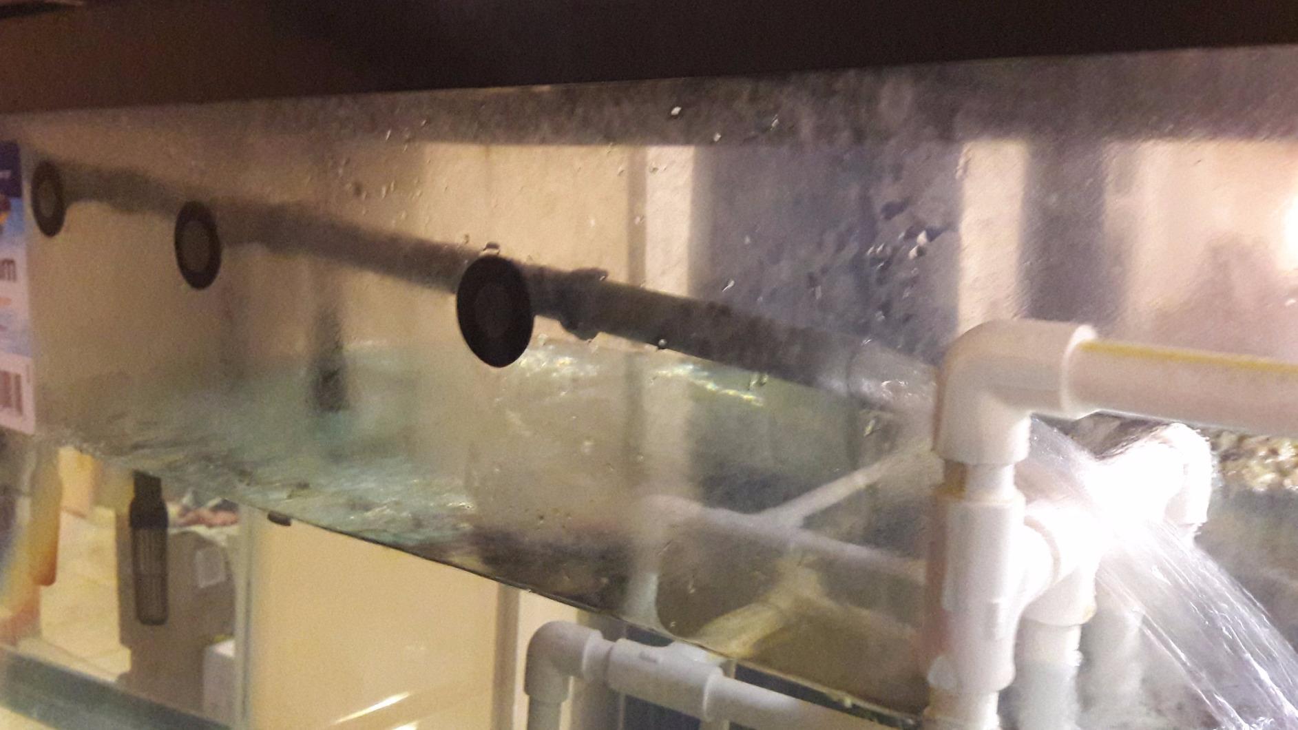 Penn-Plax Cascade 1000 Canister Filter - 265 GPH Aquarium Filter for Tanks Up to 100 Gallons - 360 Degree Flow Valves, Poly Fiber Pads, Bio-Sponge & Activated Carbon -Fresh & Saltwater -11.5x10x17in customer photo 1