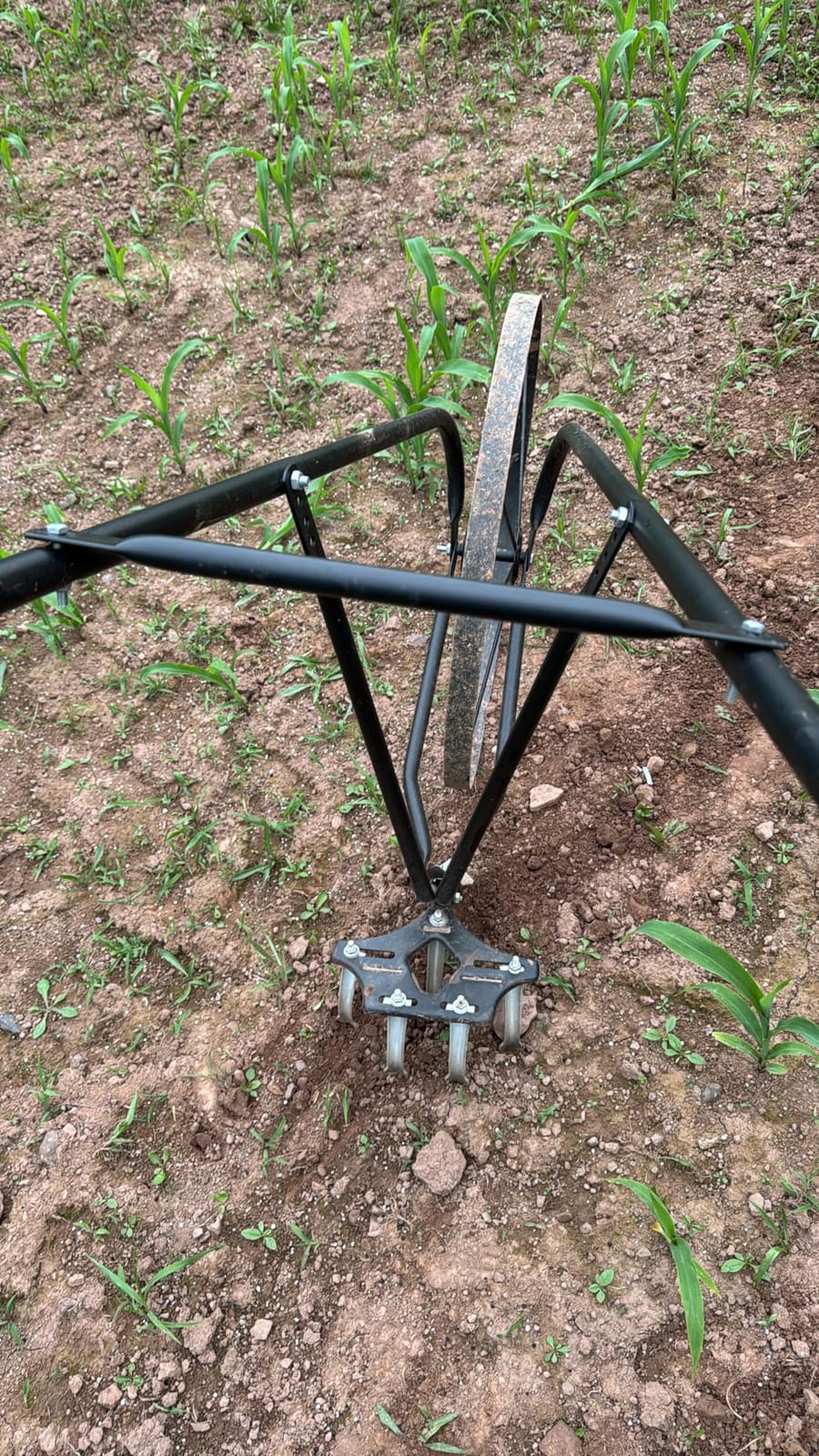 EarthWay 6500 High Wheel Tubular High Wheel Cultivator with Comfort Handle with 3-Position Adjustable, Quick Change Implements, and 24 Inch Steel Wheel customer photo 2