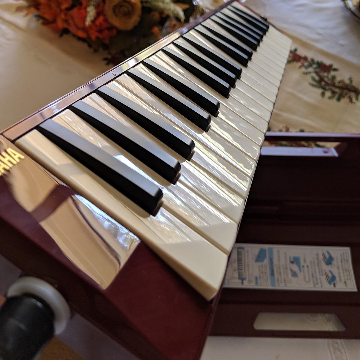 Yamaha P-37D 37-key Pianica customer photo 1