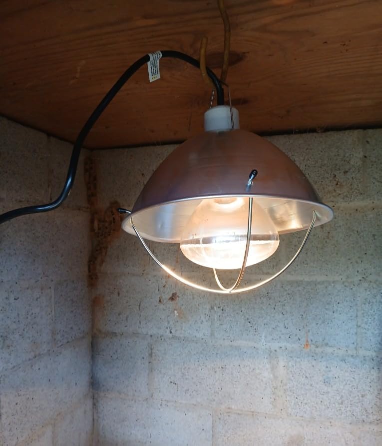 Woods 0165 Brooder Lamp with Bulb Guard; 10.5 Inch Reflector and 6 Foot Cord (250 Watt; 18/2 SJTW) customer photo 2