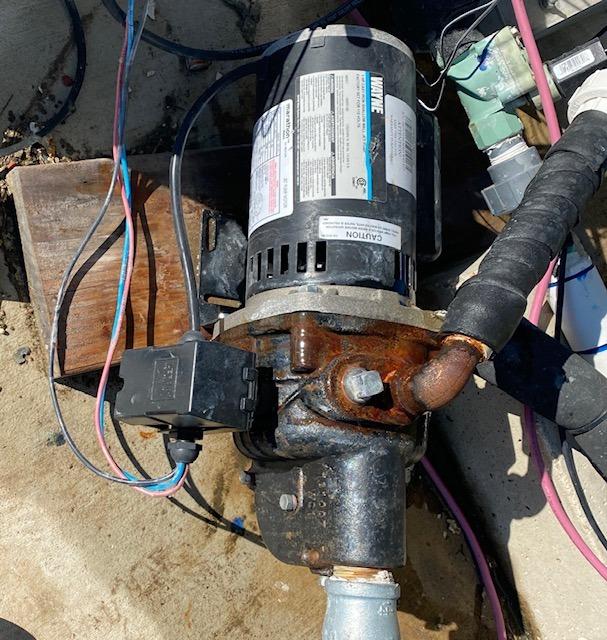 WAYNE SWS100 1 HP Cast Iron Shallow Well Jet Pump for Wells up to 25 ft. customer photo 1