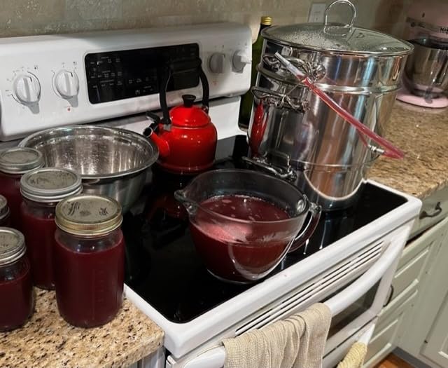 Norpro 619 Stainless Steel Steamer/Juicer customer photo 2