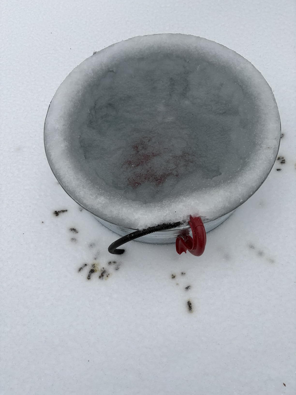 K&H Pet Products Stock Tank & Pond Heater, Ultimate Stock Tank Deicer w/ Cord Clip, Water Trough Heater for Horses, Cattle and Livestock, Full Cage, Floating, Submersible, Safety Listed - Red 250W customer photo 2