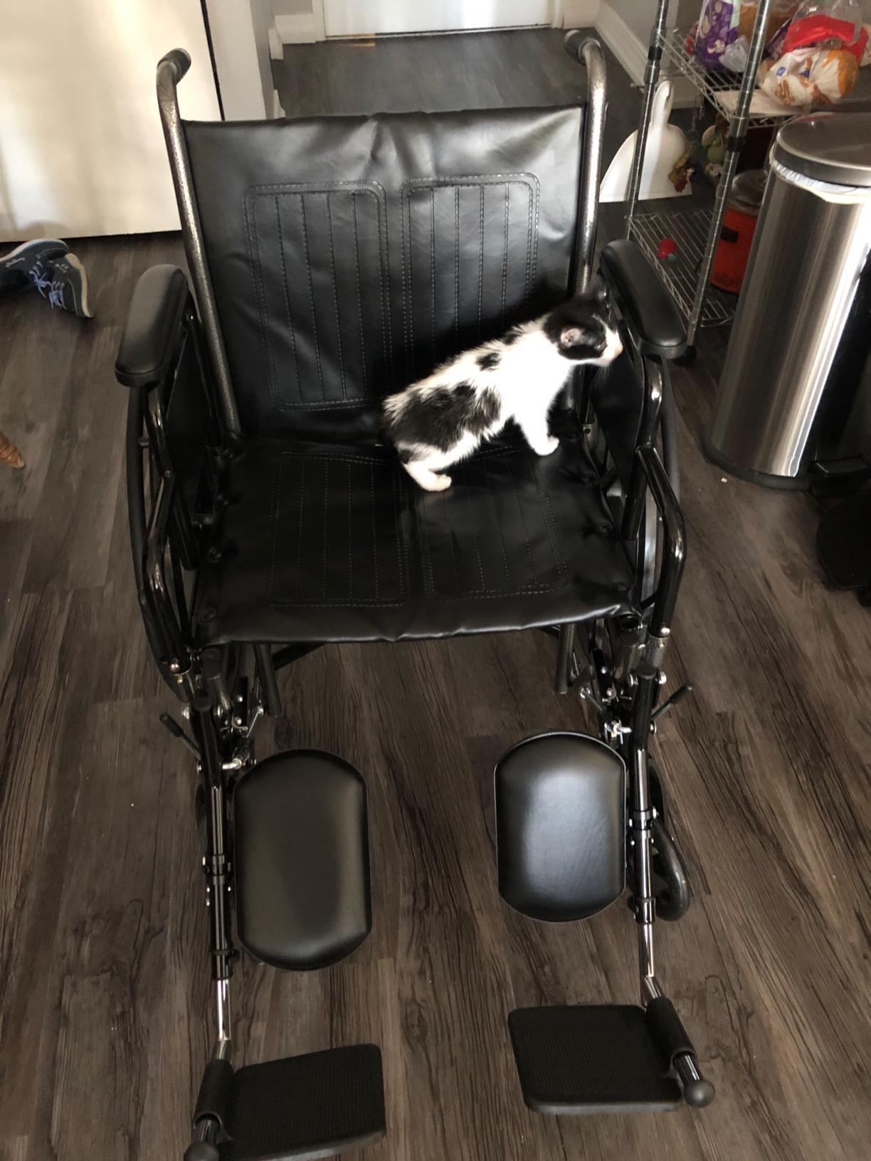 Drive Medical SSP220DDA-ELR Silver Sport 2 Full-Reclining Transport Wheelchair with Detachable Desk Arms and Swing-Away Elevating Leg Rest, Black customer photo 2