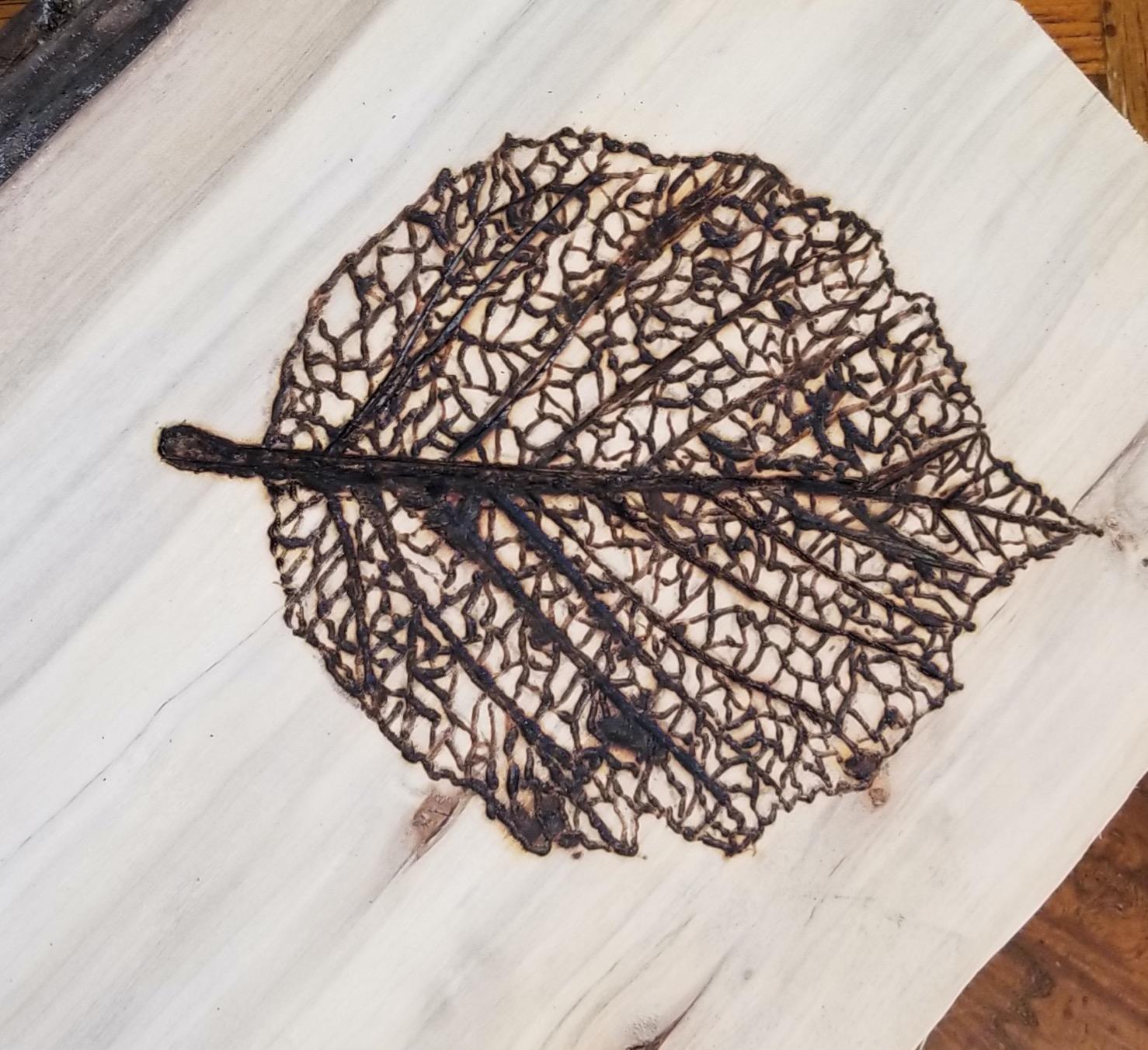 Super Pro II Woodburning KIt customer photo 2