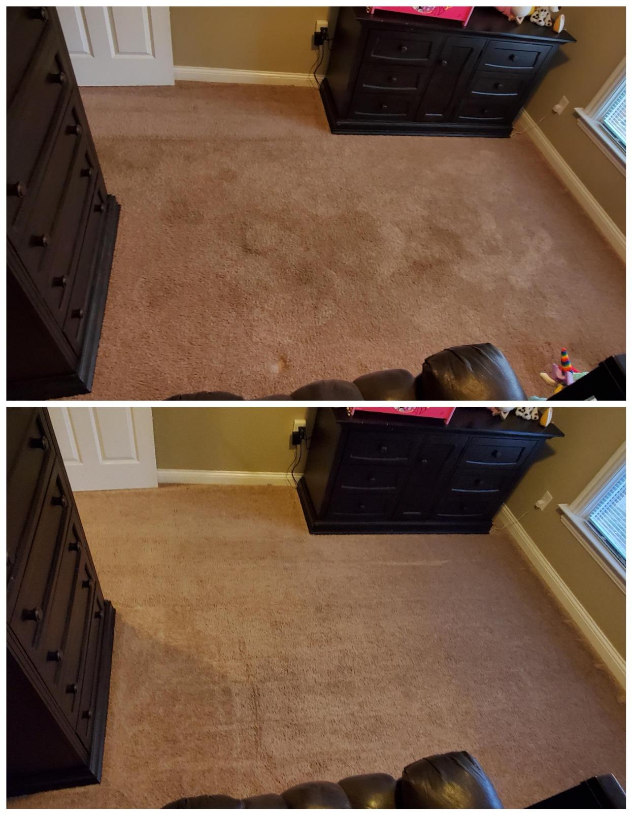 BISSELL Big Green Professional Carpet Cleaner with XL DirtLifter PowerBrush customer photo 1