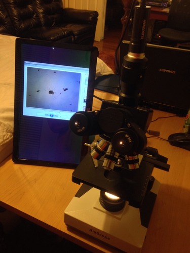 AmScope T490B Compound Trinocular Microscope, 2000X Magnification customer photo 2