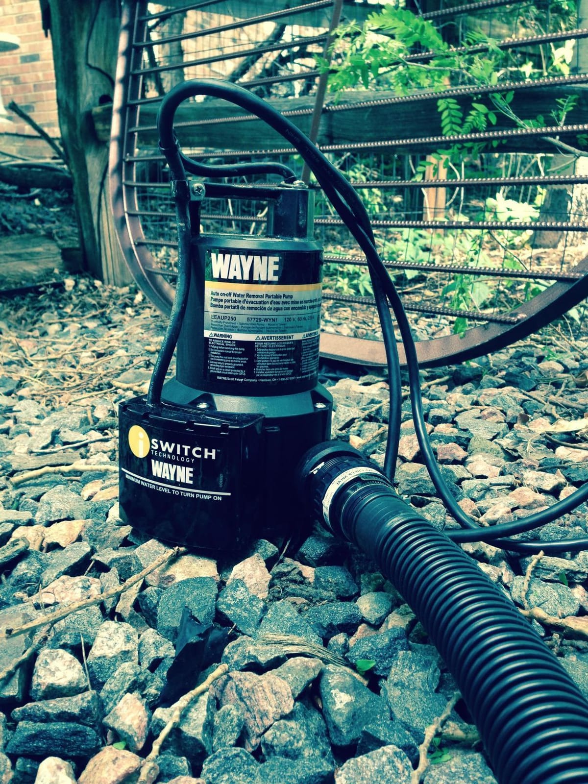 WAYNE EEAUP250 1/4 HP Reinforced Thermoplastic Submersible Multi-Use Pump customer photo 1