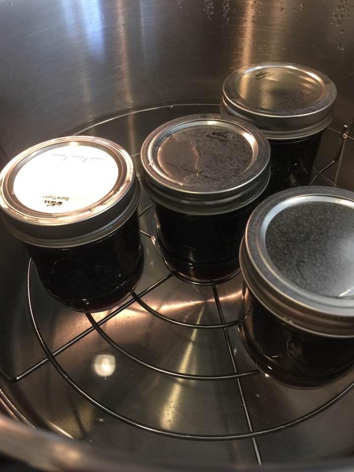 Harvest Stainless Steel 20 Qt Canning Pot with Rack - Water Bath or Steam Canning - Works on All Stovetops Including Induction, Glass, Gas customer photo 2