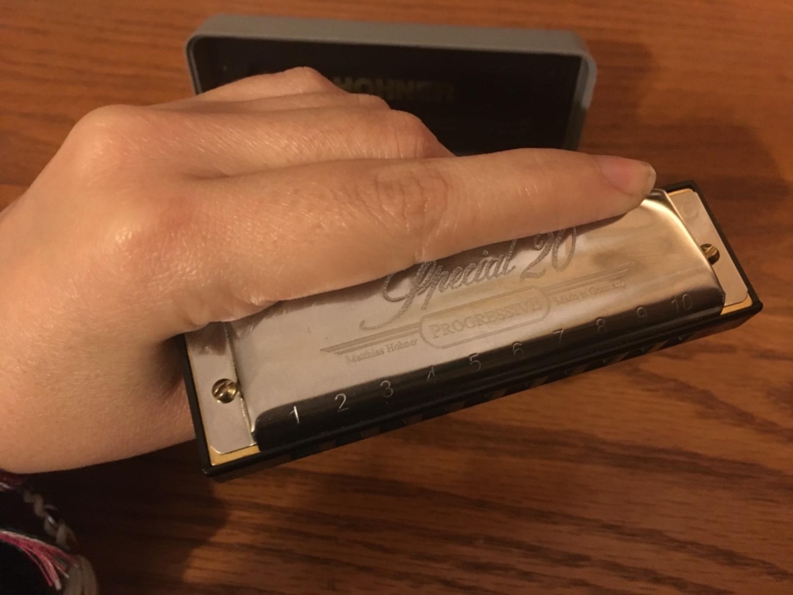 Hohner Special 20 Diatonic Harmonica, C-major - Professional customer photo 1