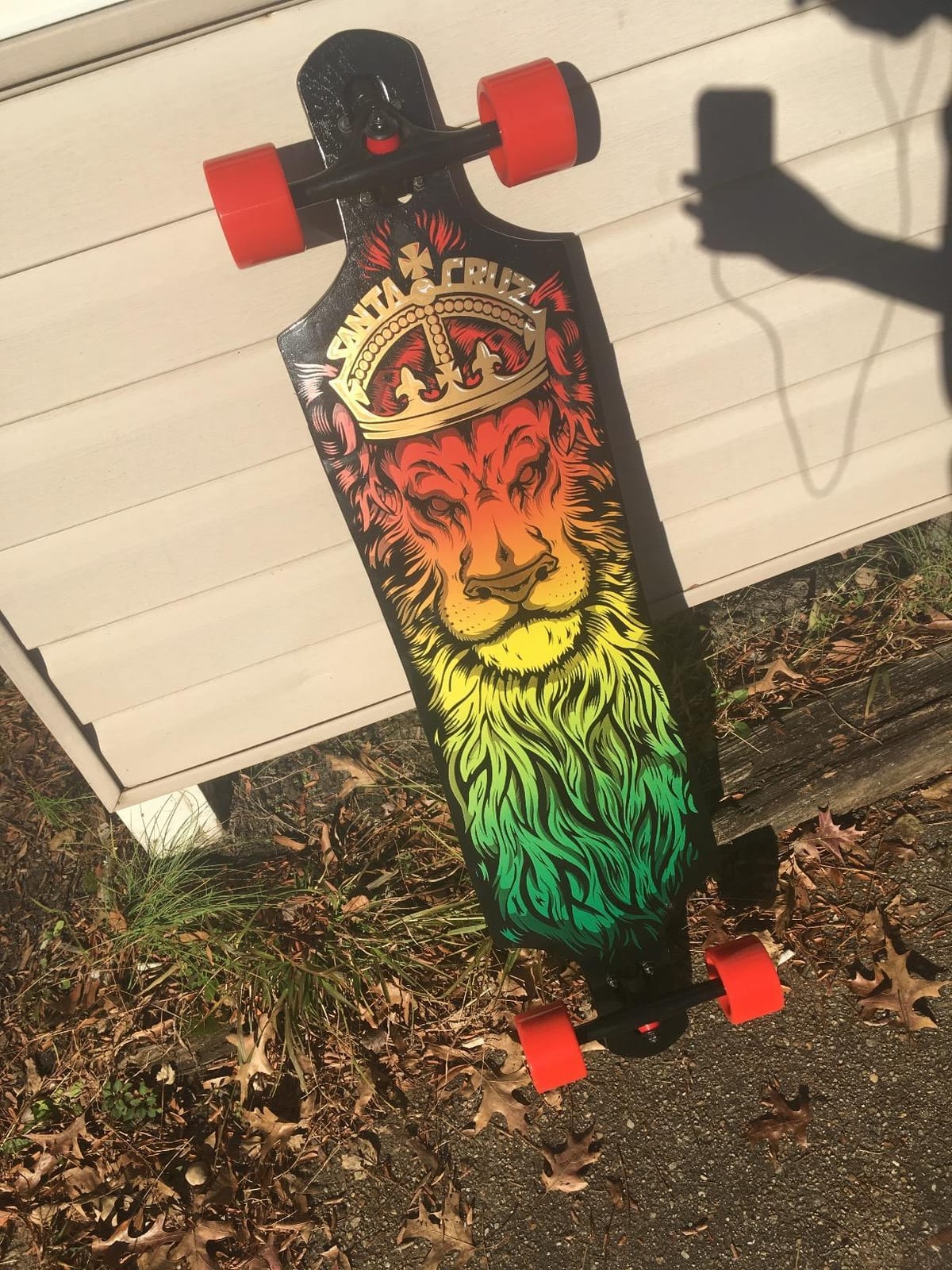 Santa Cruz Lion God Rasta Drop Thru Cruzer Freeride Longboard Deck Complete 40