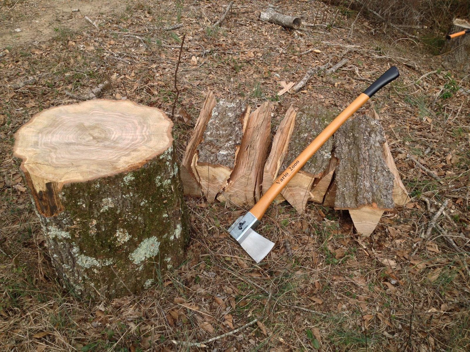 1844 Helko Werk Germany Vario Heavy Log Splitter (10058) | Made In Germany Splitting Axe for Splitting Wood Firewood Head 6.5 Pound Handle 36 Inch Vario Heavy Log Splitter customer photo 1