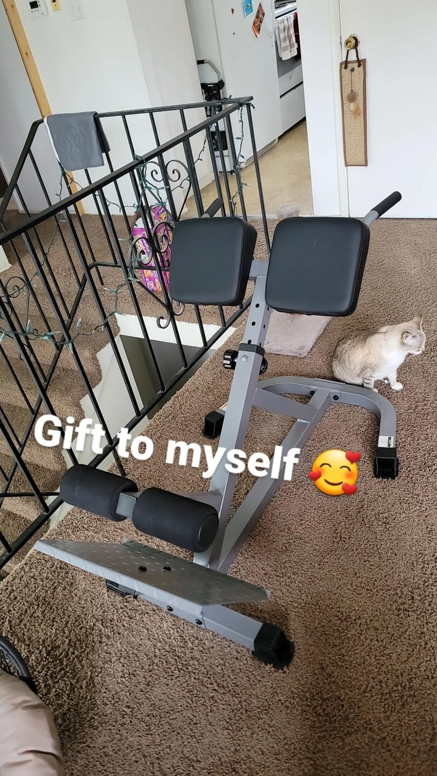 CAP Barbell Strength Hyperextension customer photo 1