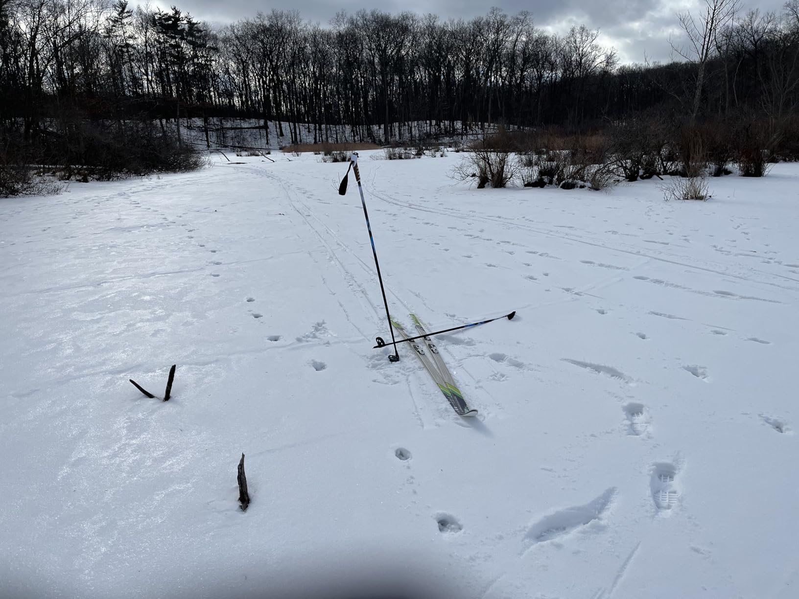 Whitewoods Adult NNN Cross Country Ski Package; Boots, Bindings, Poles, Skis 207cm (for Skiers 180 lbs. & Up) customer photo 5